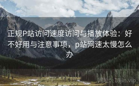 正规P站访问速度访问与播放体验：好不好用与注意事项，p站网速太慢怎么办