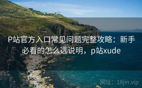 P站官方入口常见问题完整攻略：新手必看的怎么选说明，p站xude