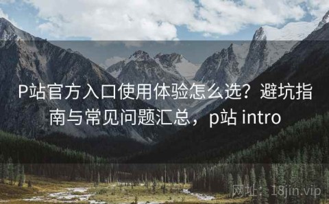 P站官方入口使用体验怎么选？避坑指南与常见问题汇总，p站 intro