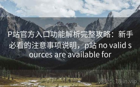 P站官方入口功能解析完整攻略：新手必看的注意事项说明，p站 no valid sources are available for