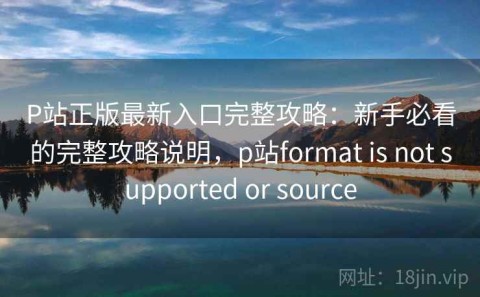 P站正版最新入口完整攻略：新手必看的完整攻略说明，p站format is not supported or source