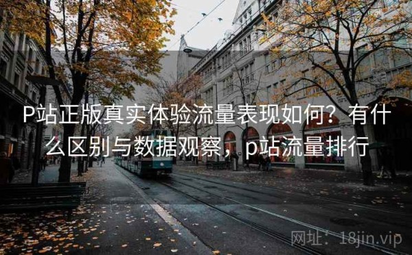 P站正版真实体验流量表现如何？有什么区别与数据观察，p站流量排行