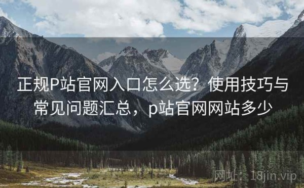 正规P站官网入口怎么选？使用技巧与常见问题汇总，p站官网网站多少