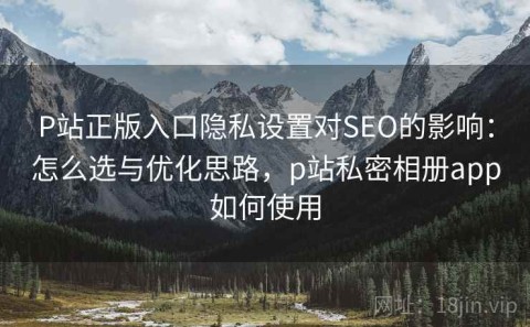 P站正版入口隐私设置对SEO的影响：怎么选与优化思路，p站私密相册app如何使用