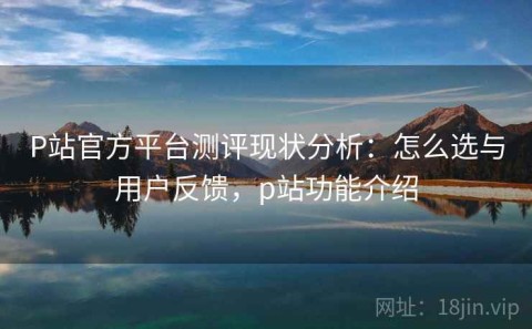 P站官方平台测评现状分析：怎么选与用户反馈，p站功能介绍