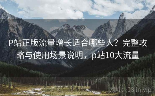 P站正版流量增长适合哪些人？完整攻略与使用场景说明，p站10大流量
