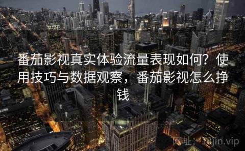 番茄影视真实体验流量表现如何？使用技巧与数据观察，番茄影视怎么挣钱