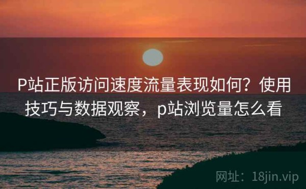 P站正版访问速度流量表现如何？使用技巧与数据观察，p站浏览量怎么看