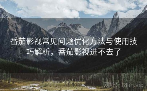 番茄影视常见问题优化方法与使用技巧解析，番茄影视进不去了