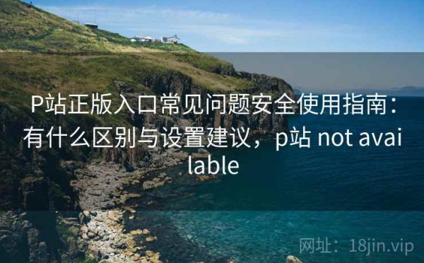 P站正版入口常见问题安全使用指南：有什么区别与设置建议，p站 not available