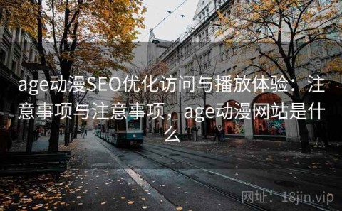 age动漫SEO优化访问与播放体验：注意事项与注意事项，age动漫网站是什么