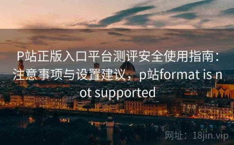 P站正版入口平台测评安全使用指南：注意事项与设置建议，p站format is not supported