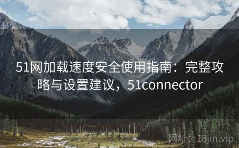 51网加载速度安全使用指南：完整攻略与设置建议，51connector