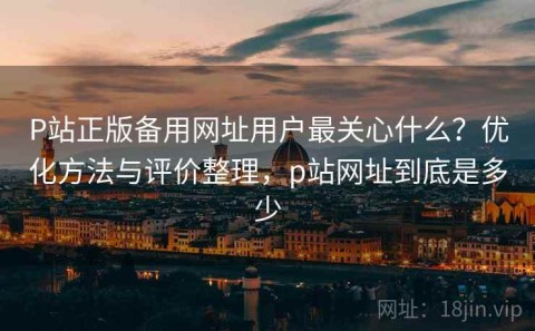 P站正版备用网址用户最关心什么？优化方法与评价整理，p站网址到底是多少
