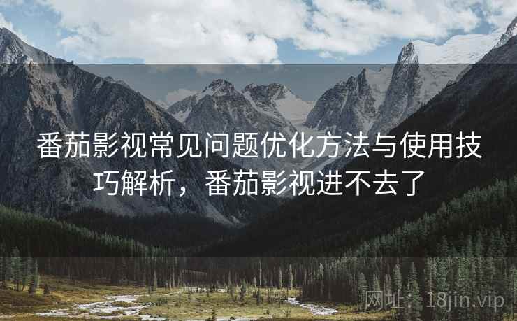番茄影视常见问题优化方法与使用技巧解析，番茄影视进不去了