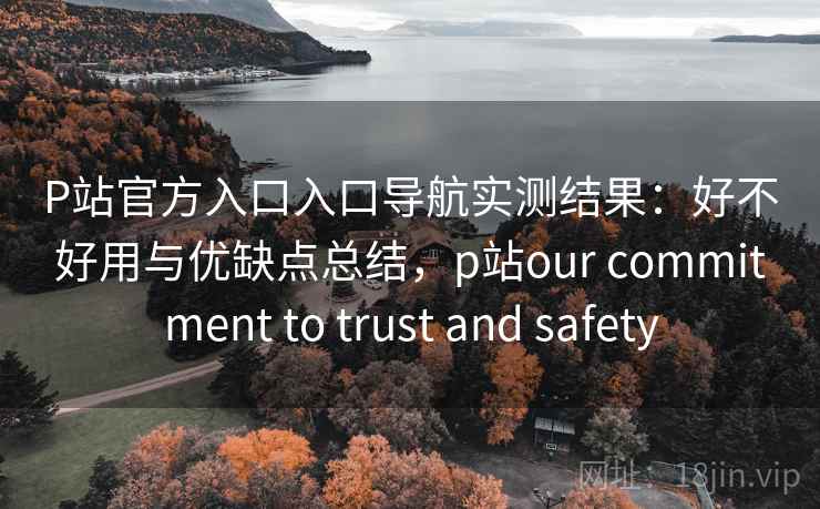P站官方入口入口导航实测结果：好不好用与优缺点总结，p站our commitment to trust and safety