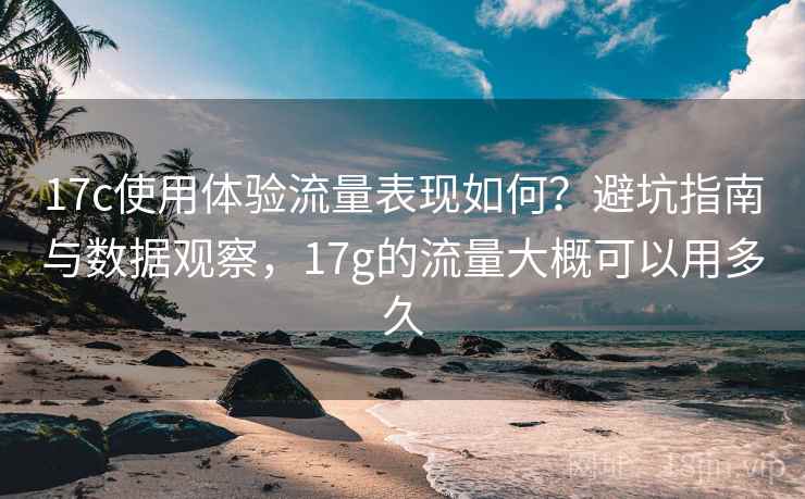 17c使用体验流量表现如何？避坑指南与数据观察，17g的流量大概可以用多久