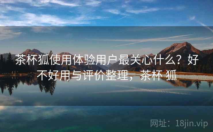 茶杯狐使用体验用户最关心什么？好不好用与评价整理，茶杯 狐