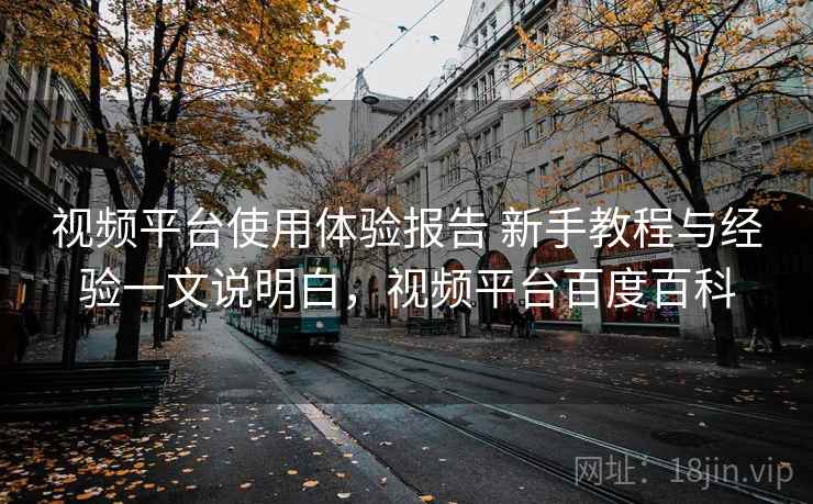 视频平台使用体验报告 新手教程与经验一文说明白，视频平台百度百科