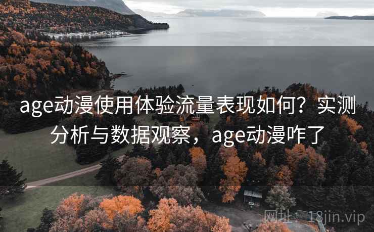 age动漫使用体验流量表现如何？实测分析与数据观察，age动漫咋了