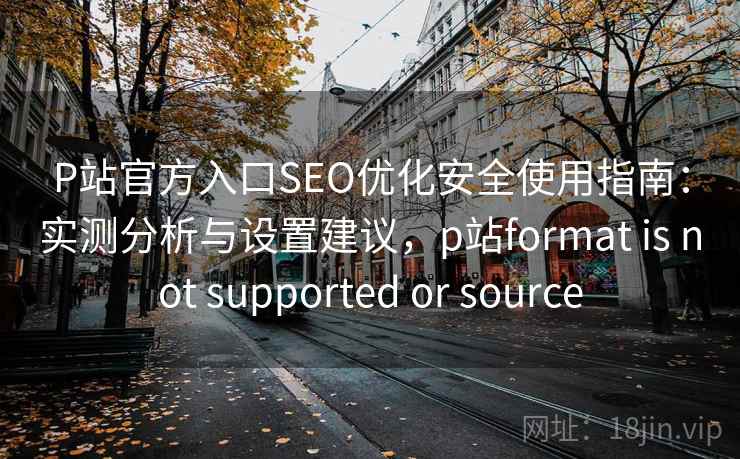 P站官方入口SEO优化安全使用指南：实测分析与设置建议，p站format is not supported or source