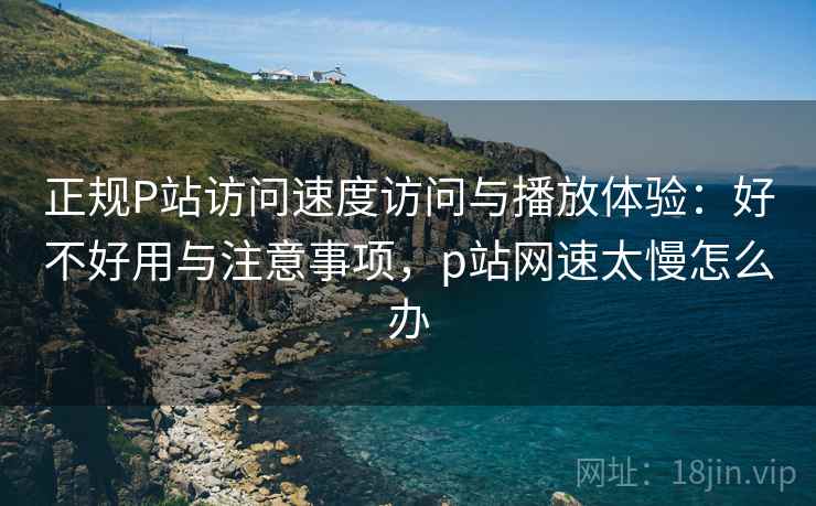 正规P站访问速度访问与播放体验：好不好用与注意事项，p站网速太慢怎么办
