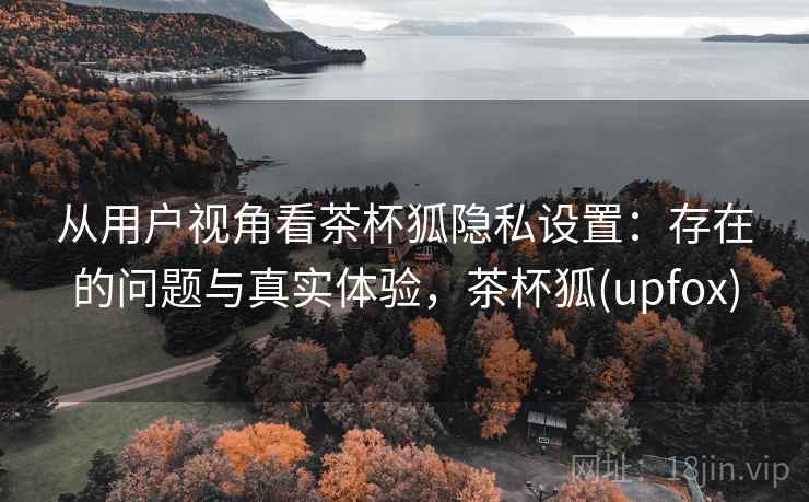 从用户视角看茶杯狐隐私设置：存在的问题与真实体验，茶杯狐(upfox)