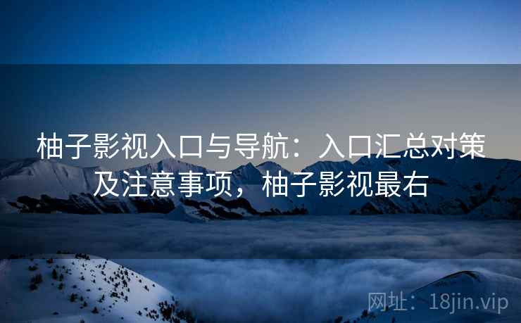 柚子影视入口与导航：入口汇总对策及注意事项，柚子影视最右