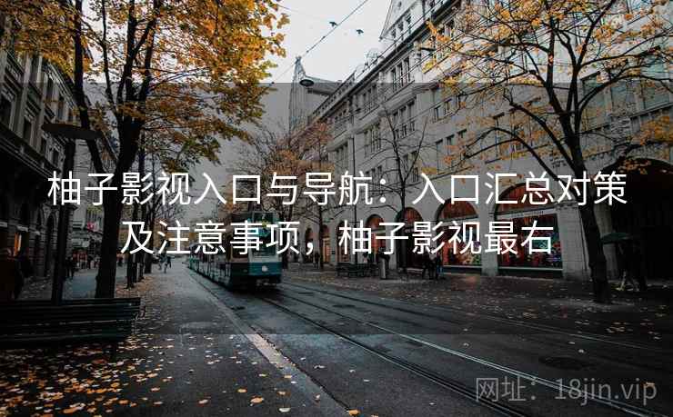 柚子影视入口与导航：入口汇总对策及注意事项，柚子影视最右