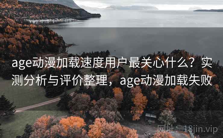 age动漫加载速度用户最关心什么？实测分析与评价整理，age动漫加载失败
