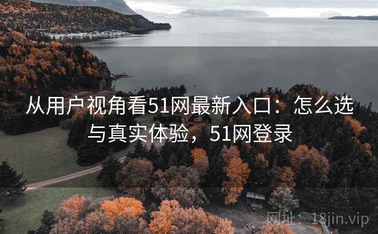 从用户视角看51网最新入口：怎么选与真实体验，51网登录