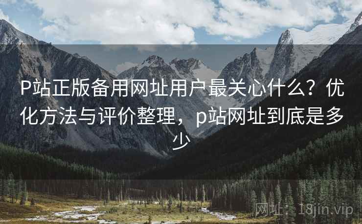 P站正版备用网址用户最关心什么？优化方法与评价整理，p站网址到底是多少