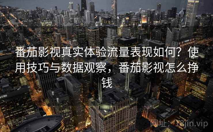 番茄影视真实体验流量表现如何？使用技巧与数据观察，番茄影视怎么挣钱