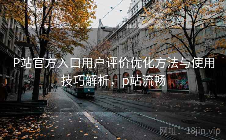 P站官方入口用户评价优化方法与使用技巧解析，p站流畅