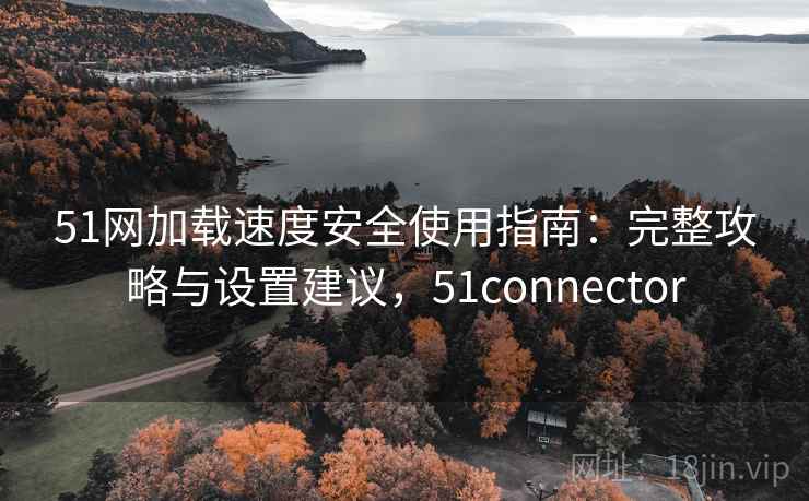51网加载速度安全使用指南：完整攻略与设置建议，51connector