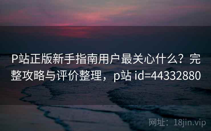 P站正版新手指南用户最关心什么？完整攻略与评价整理，p站 id=44332880