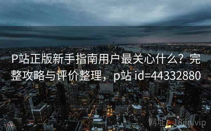 P站正版新手指南用户最关心什么？完整攻略与评价整理，p站 id=44332880