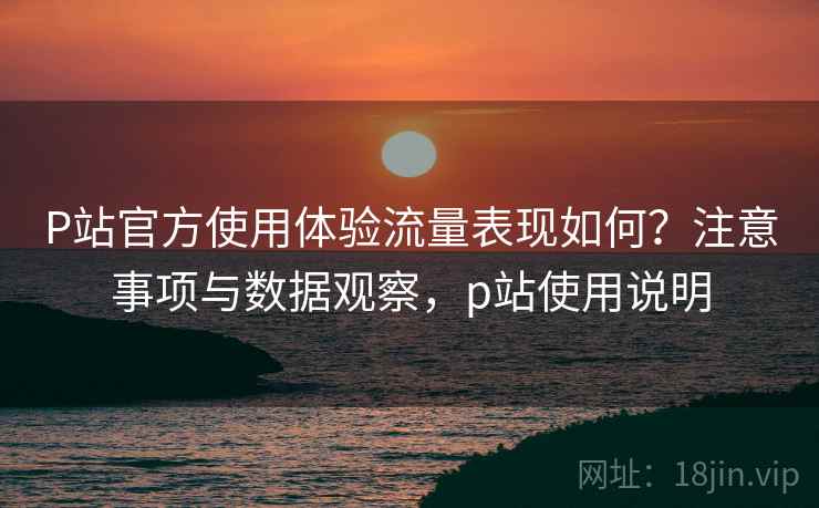 P站官方使用体验流量表现如何？注意事项与数据观察，p站使用说明