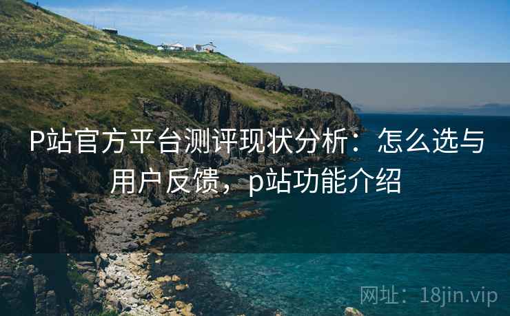 P站官方平台测评现状分析：怎么选与用户反馈，p站功能介绍