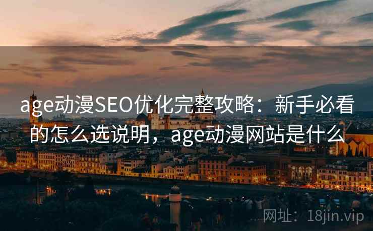 age动漫SEO优化完整攻略：新手必看的怎么选说明，age动漫网站是什么