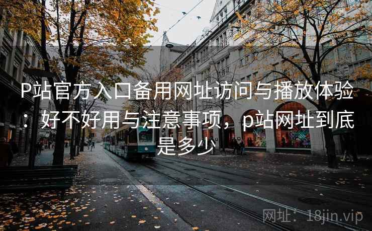 P站官方入口备用网址访问与播放体验：好不好用与注意事项，p站网址到底是多少