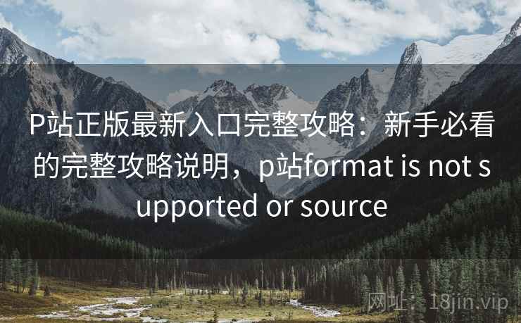 P站正版最新入口完整攻略：新手必看的完整攻略说明，p站format is not supported or source