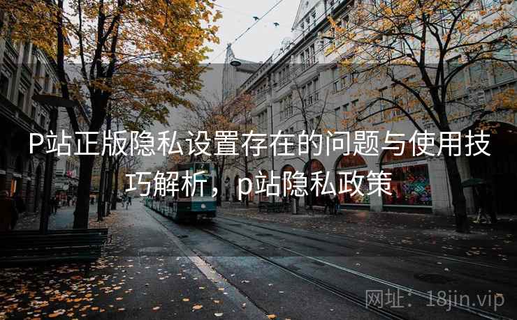 P站正版隐私设置存在的问题与使用技巧解析,p站隐私政策 P站正版隐私设置存在的问题与使用技巧解析,p站隐私政策